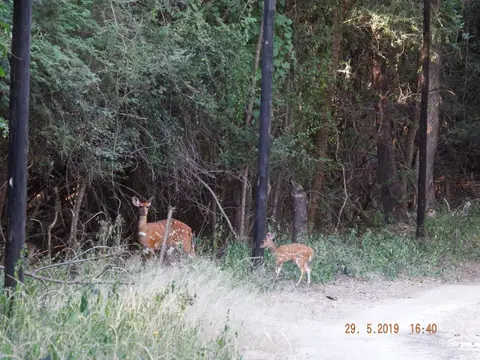 DSCF8678.JPG