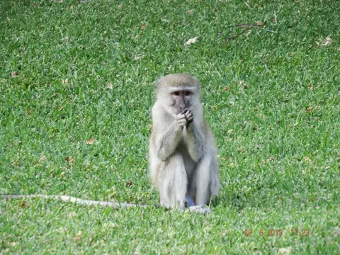 DSCF8724.JPG