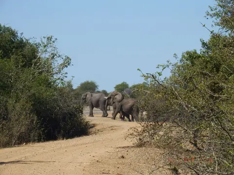 DSCF8766.JPG