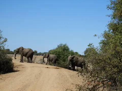 DSCF8774.JPG