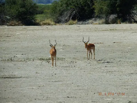 DSCF8793.JPG