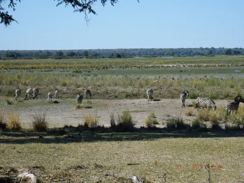 DSCF8842.JPG