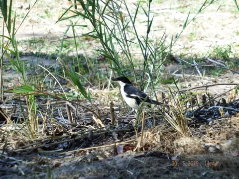 DSCF8844.JPG