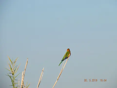 DSCF8918.JPG