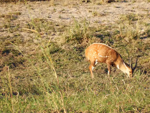 DSCF8948.JPG