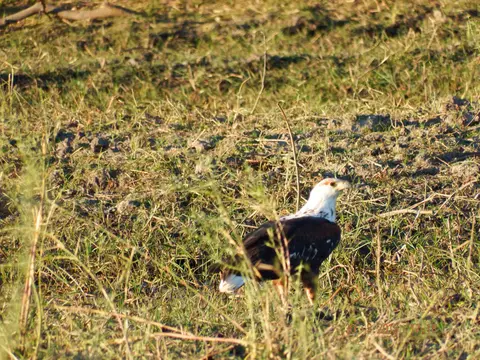 DSCF8954.JPG