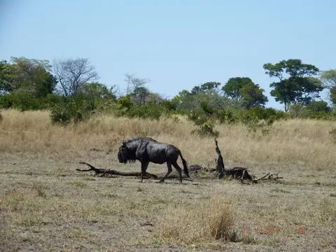 DSCF9159.JPG