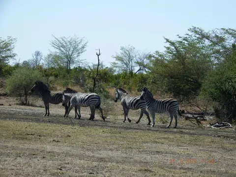 DSCF9160.JPG