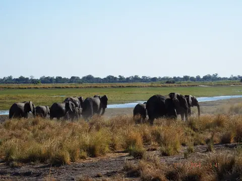 DSCF9217.JPG