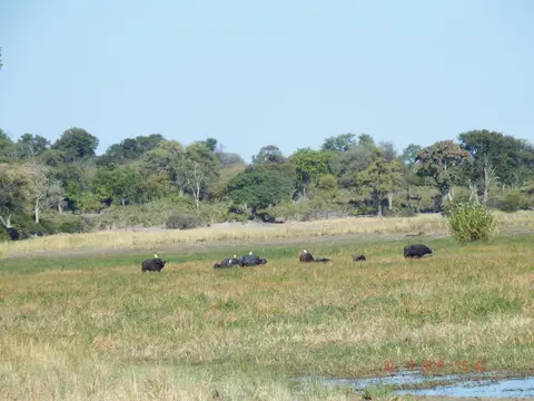 DSCF9221.JPG