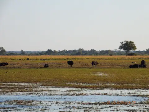 DSCF9279.JPG