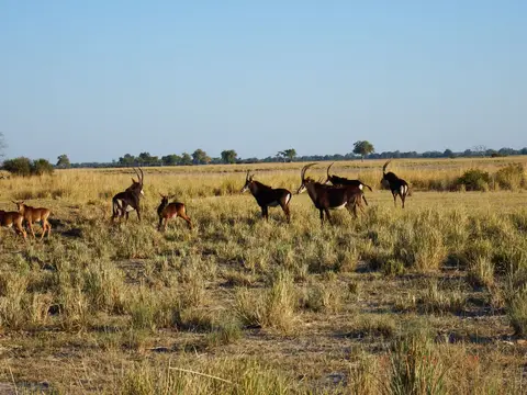 DSCF9286.JPG