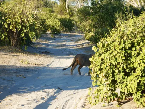 DSCF9291.JPG