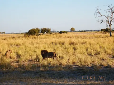 DSCF9298.JPG