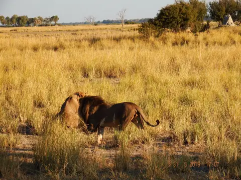 DSCF9299.JPG