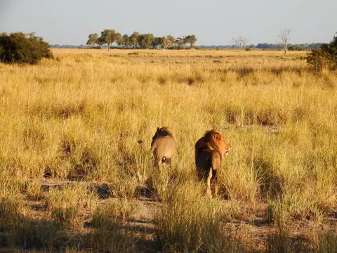 DSCF9304.JPG
