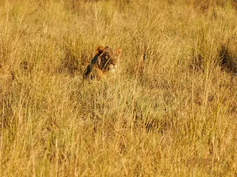 DSCF9320.JPG