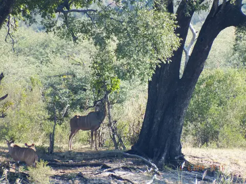 DSCF9399.JPG