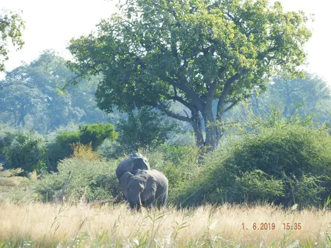 DSCF9406.JPG