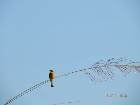 DSCF9416.JPG