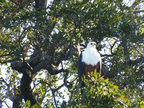 DSCF9448.JPG