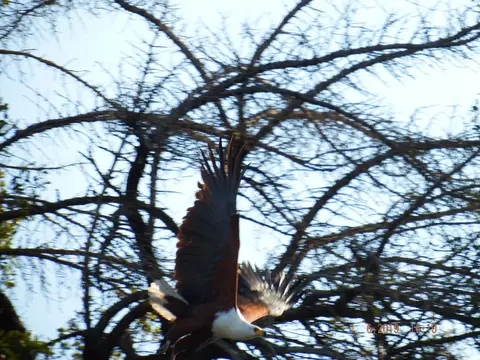 DSCF9449.JPG