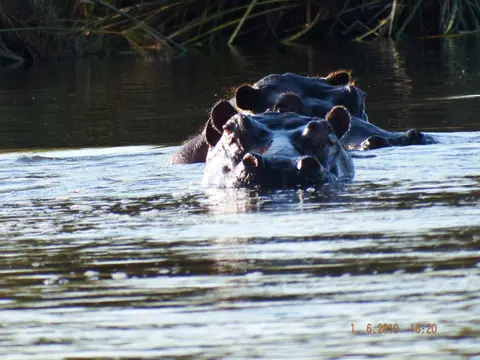 DSCF9452.JPG
