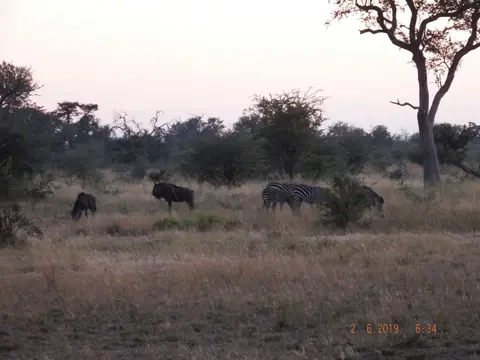 DSCF9539.JPG
