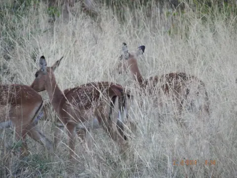 DSCF9551.JPG