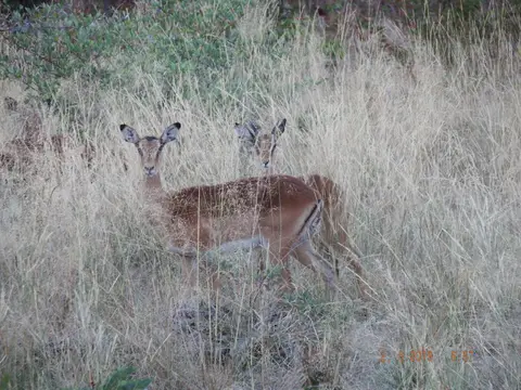 DSCF9552.JPG