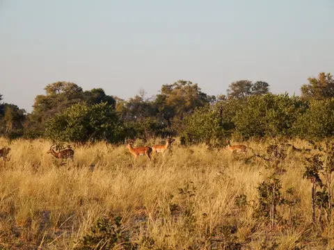 DSCF9588.JPG