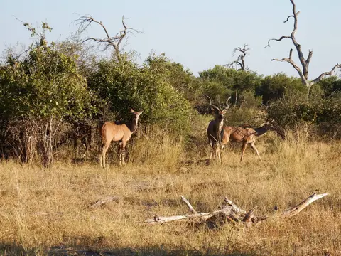 DSCF9627.JPG