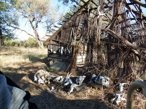 DSCF9631.JPG