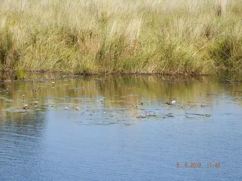DSCF9670.JPG