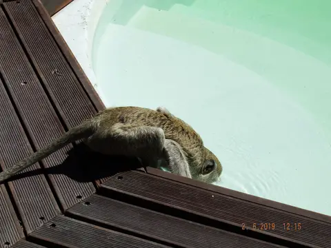 DSCF9683.JPG