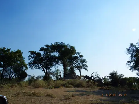 DSCF9709.JPG