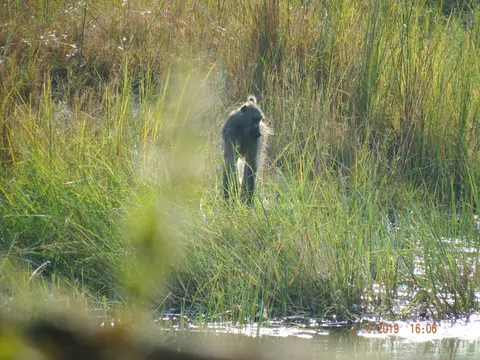 DSCF9725.JPG