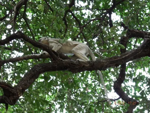 DSCF9739.JPG