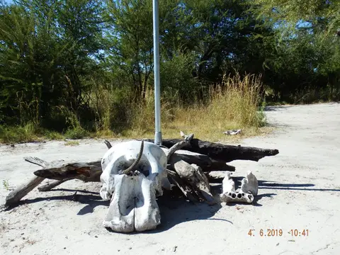 DSCF9874.JPG
