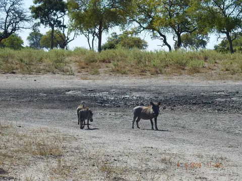 DSCF9896.JPG