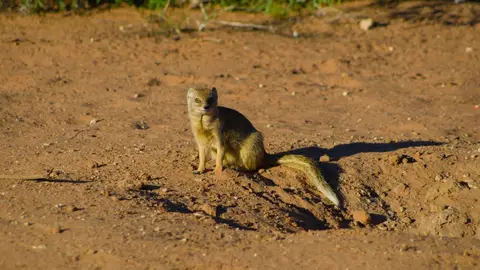 h7f294cf.jpg