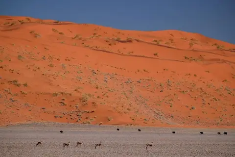 hb0ae2a5.jpg