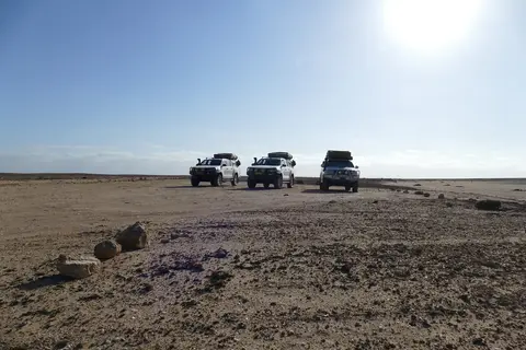 k-P1140192.JPG