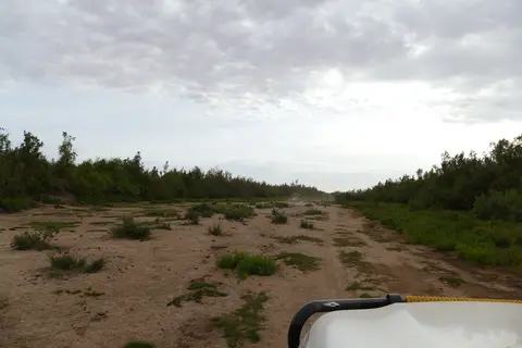 k-P1140320.JPG
