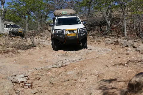 k-P1140848.JPG
