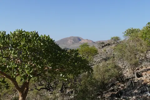 k-P1140946.JPG