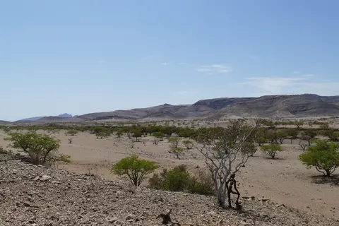 k-P1150177.JPG