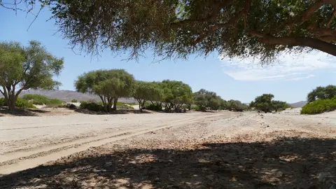 k-P1150566.JPG