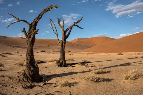 1446Hiddenvlei29042017.jpg