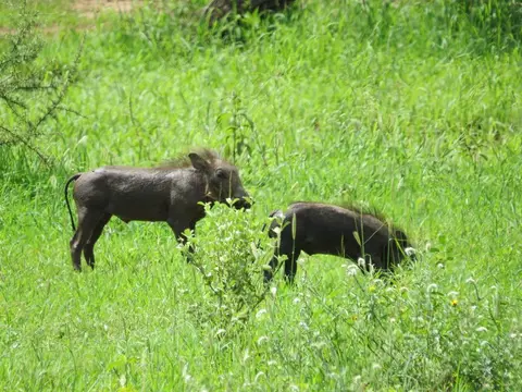 K1024_IMG_0963.JPG